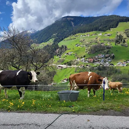 Bergbauernhof-grinzens Grinzens