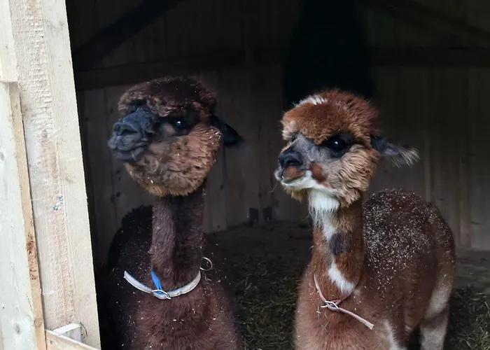 Appartement Bergbauernhof-grinzens