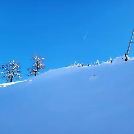 アパート Bergbauernhof-grinzens *